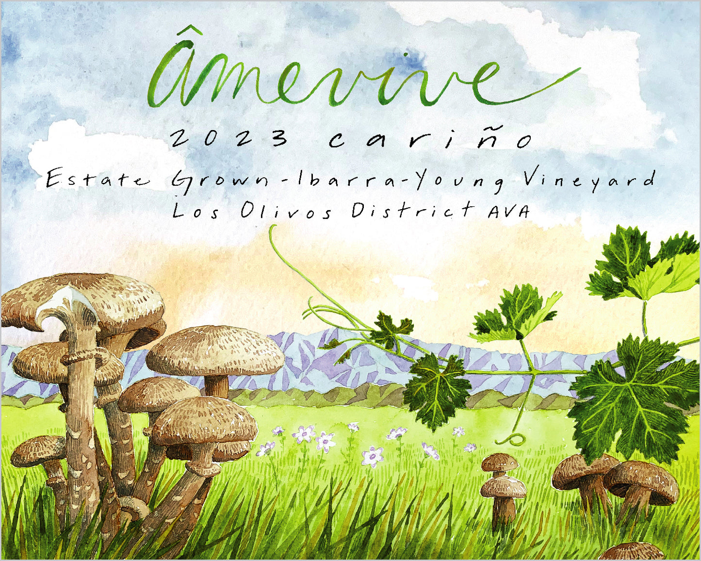 2023 Estate Cariño - Ibarra-Young Vineyard