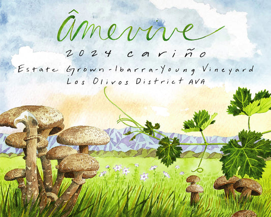 2024 Estate Cariño - Ibarra-Young Vineyard