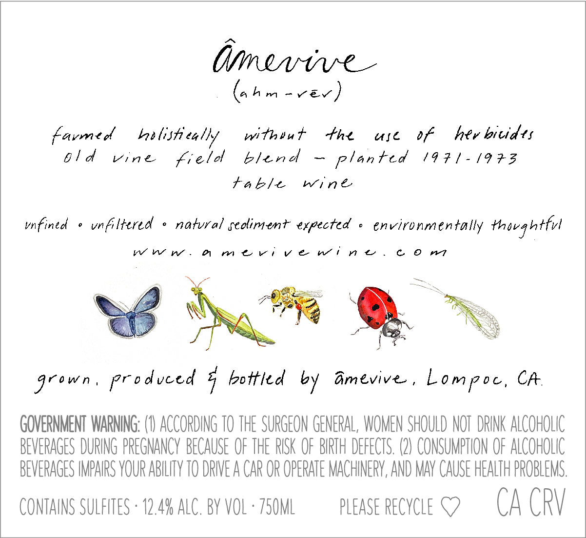 2024 Estate Périphérie, Ibarra-Young Vineyard