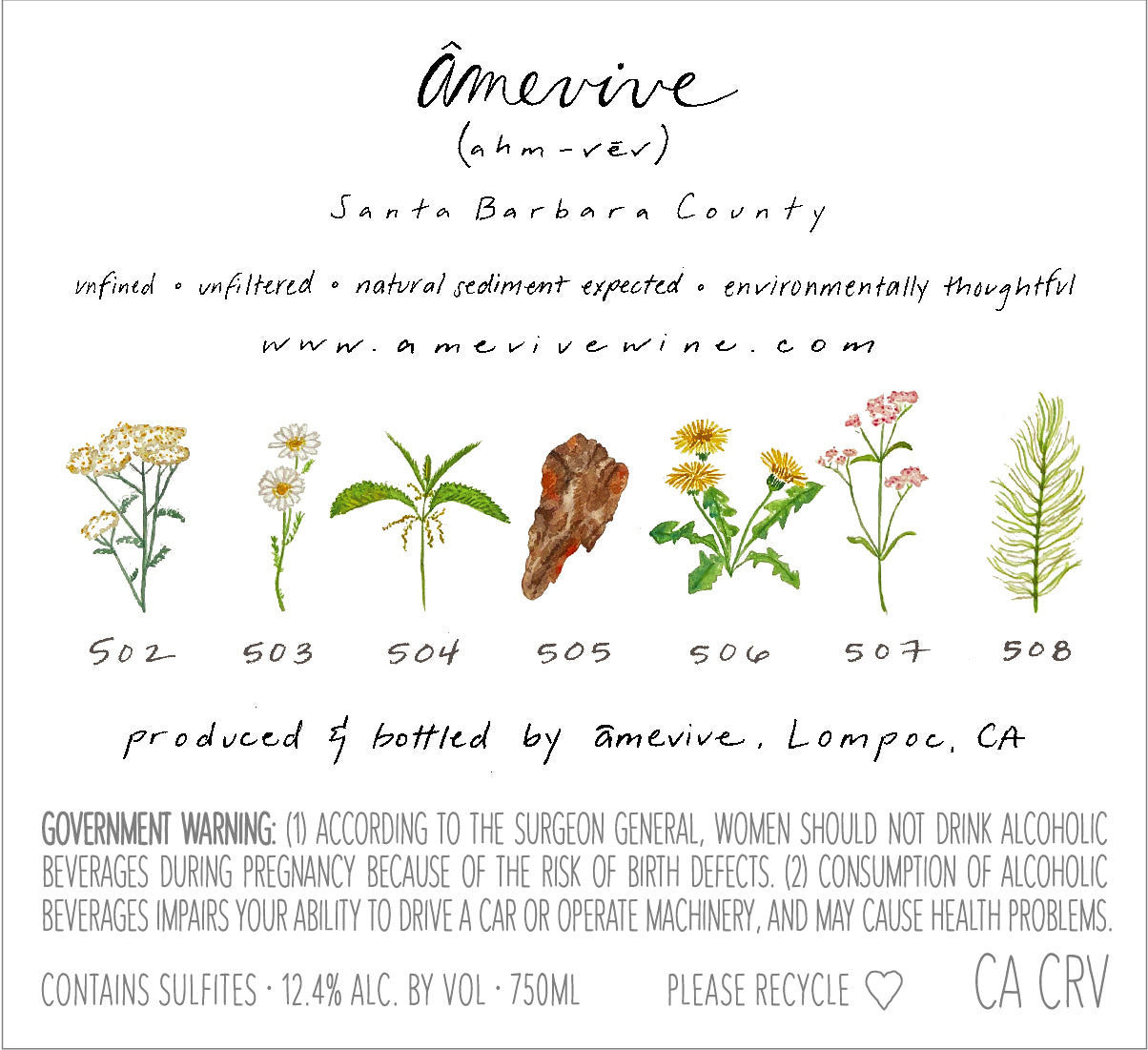 2024 Albariño - Alisos Canyon AVA