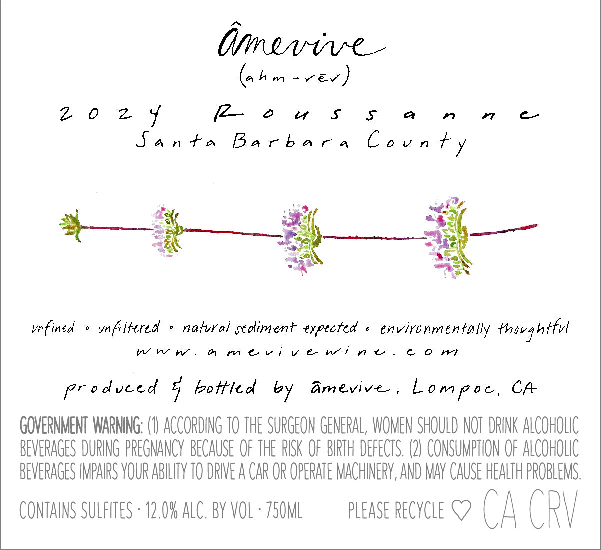 2024 Roussanne - Los Olivos District AVA