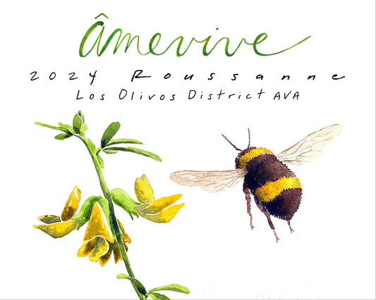 2024 Roussanne - Los Olivos District AVA