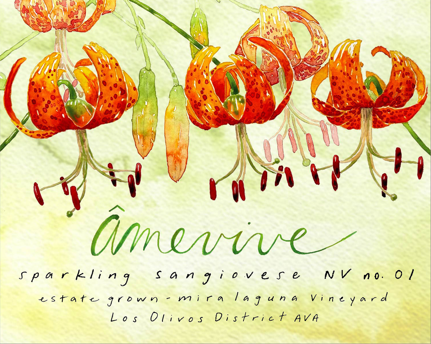 Sparkling Sangiovese NV 01, Mira Laguna Vineyard