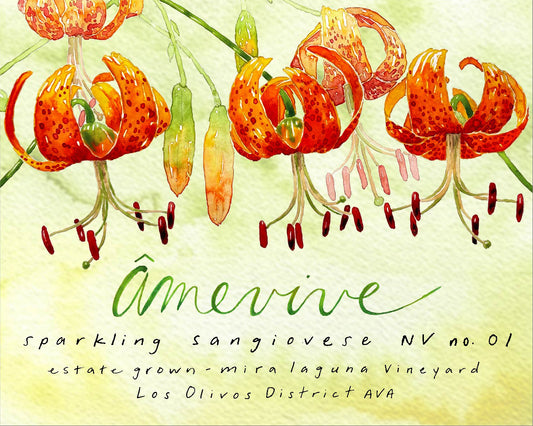 Sparkling Sangiovese NV 01, Mira Laguna Vineyard