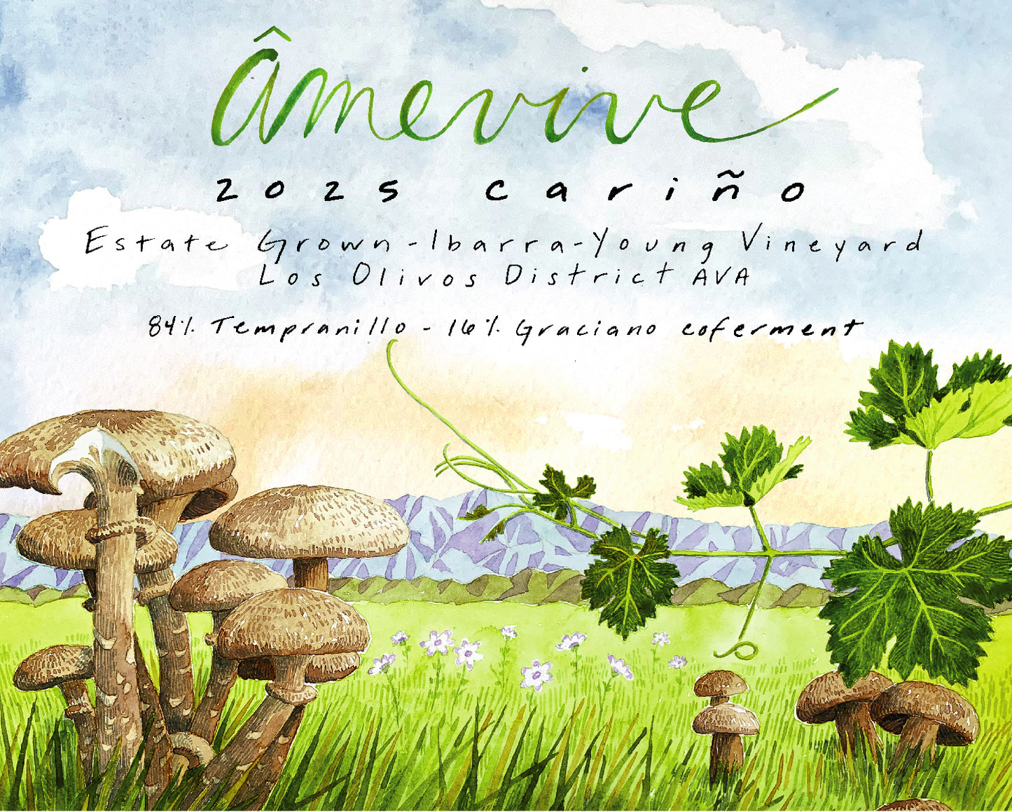 2025 Estate Cariño - Ibarra-Young Vineyard