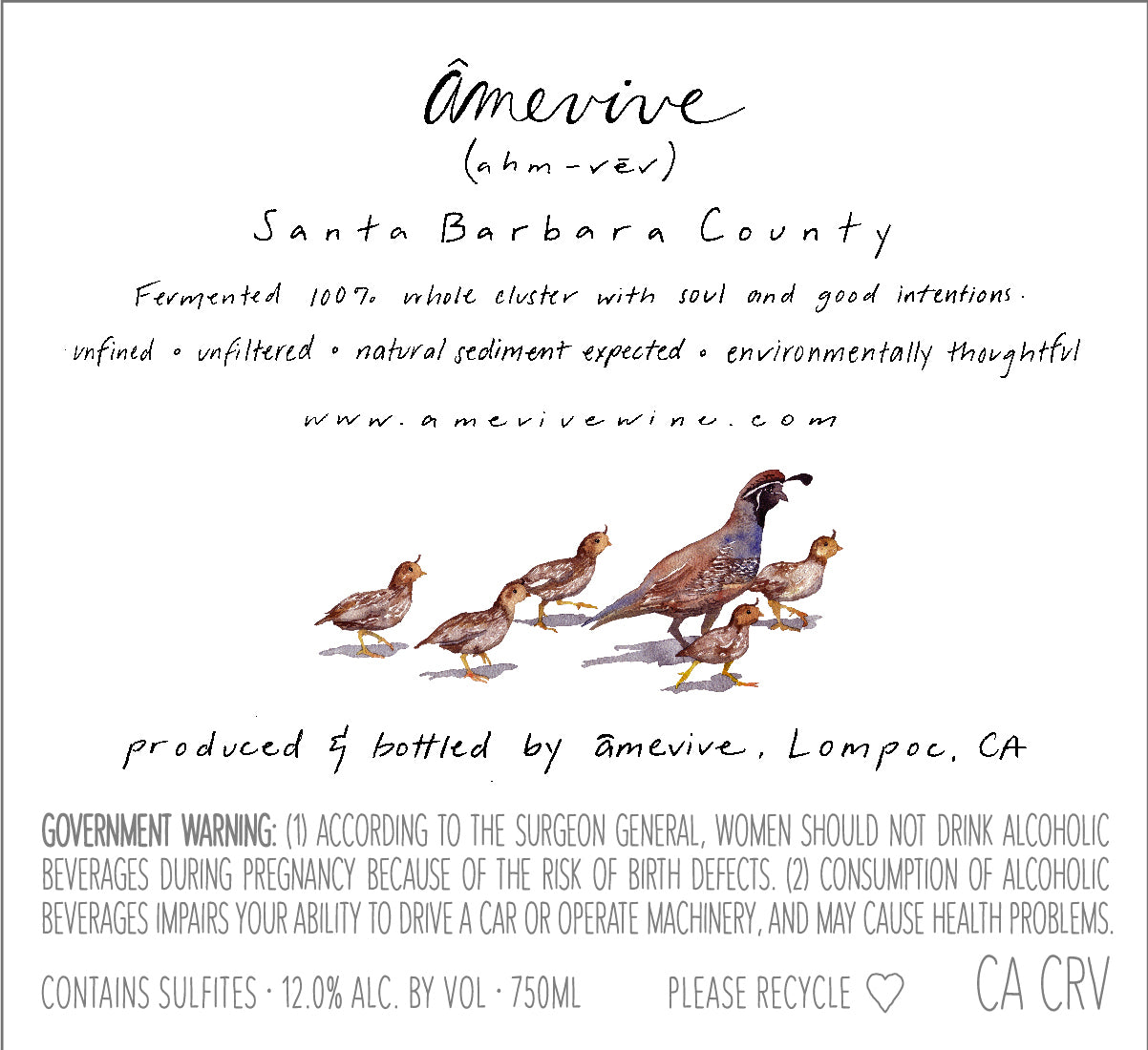 2025 Gamay - Alisos Canyon AVA