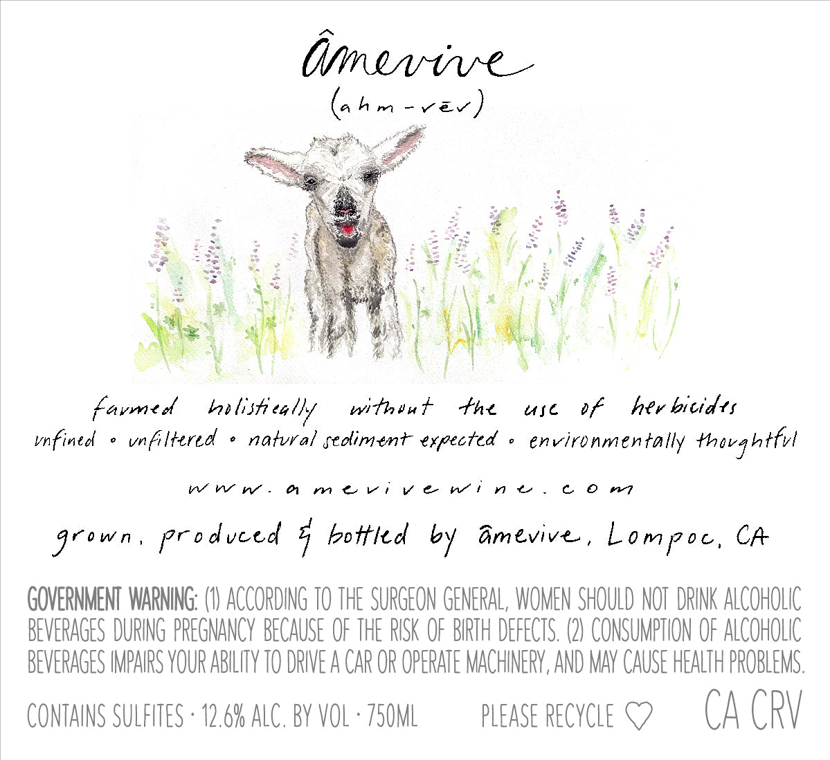 2025 Estate Rosé of Graciano, Ibarra-Young Vineyard