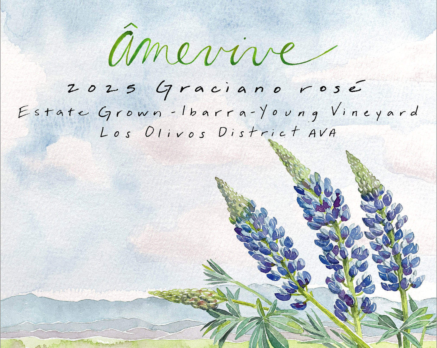 2025 Estate Rosé of Graciano, Ibarra-Young Vineyard