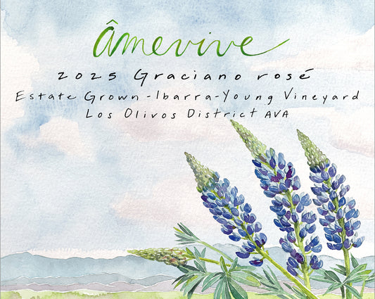 2025 Estate Rosé of Graciano, Ibarra-Young Vineyard