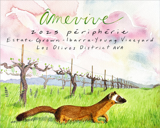 2025 Estate Périphérie, Ibarra-Young Vineyard