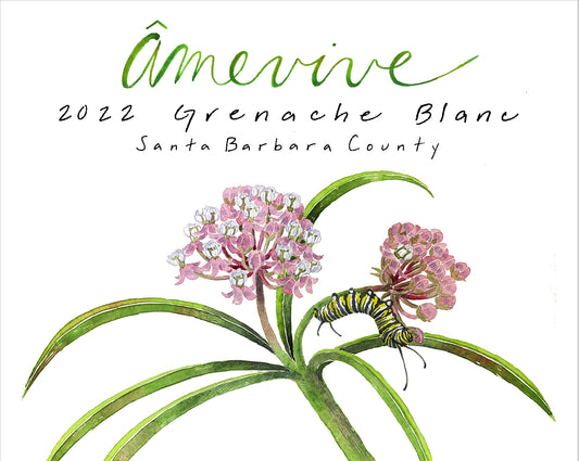 2022 Grenache Blanc, Santa Barbara County