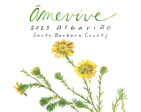 2023 Albariño - Santa Barbara County