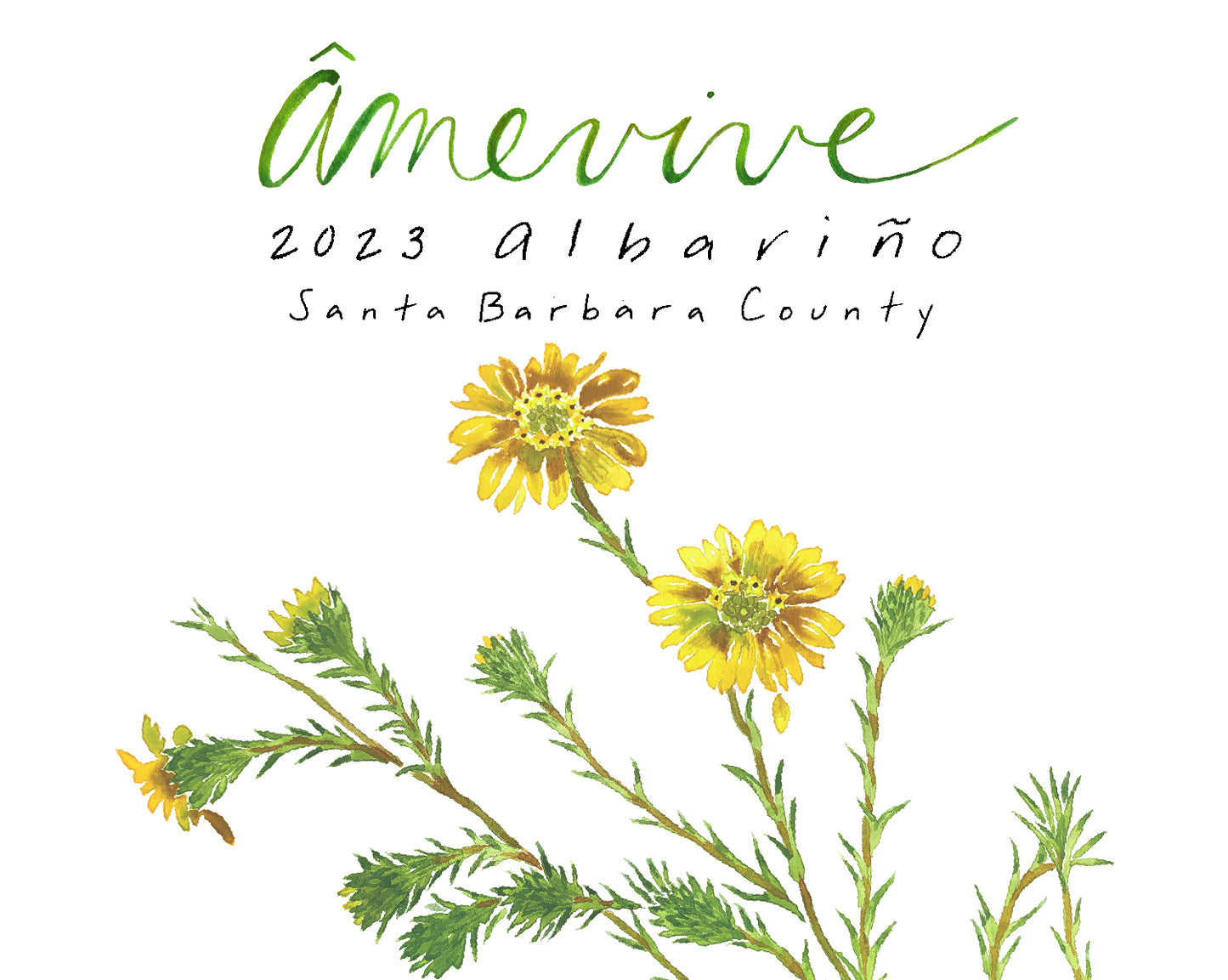 2023 Albariño - Santa Barbara County