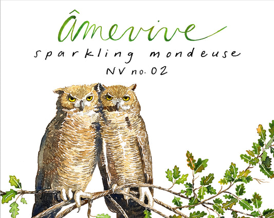 NV no. 02 Sparkling Mondeuse - C'est Chouette