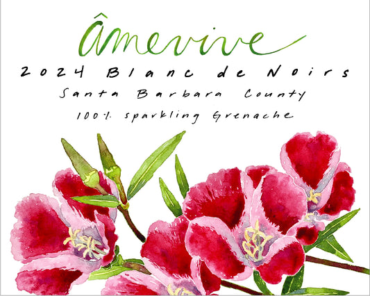 2024 Blanc de Noirs of Grenache - Santa Barbara County