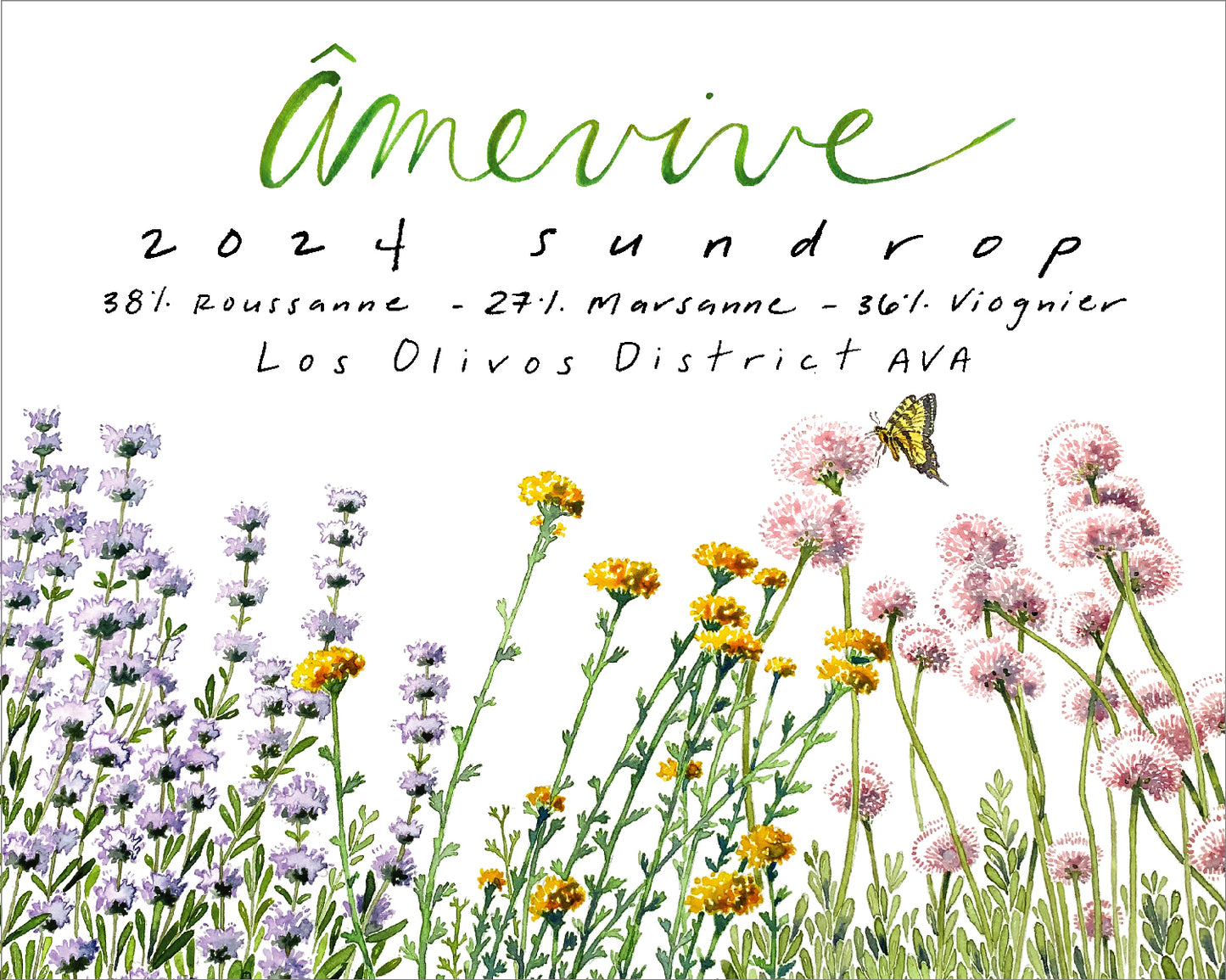 2024 Sundrop - Los Olivos District AVA