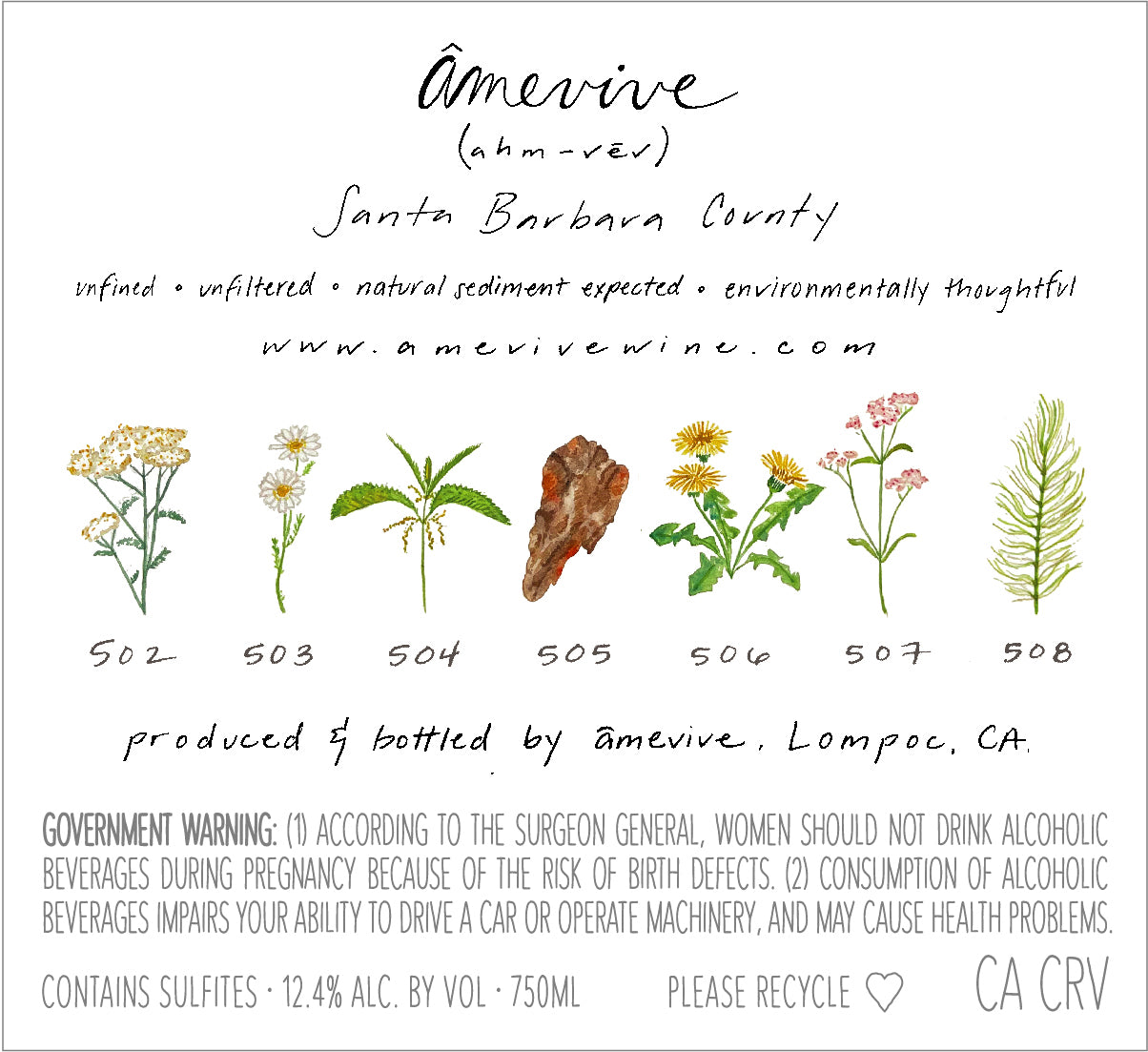 2025 Albariño - Alisos Canyon AVA