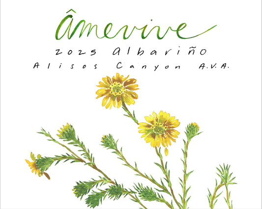 2025 Albariño - Alisos Canyon AVA