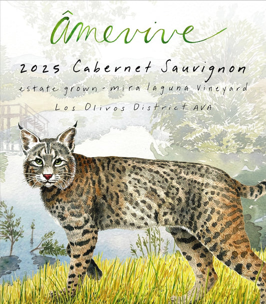 2025 Estate Cabernet Sauvignon - Mira Laguna Vineyard