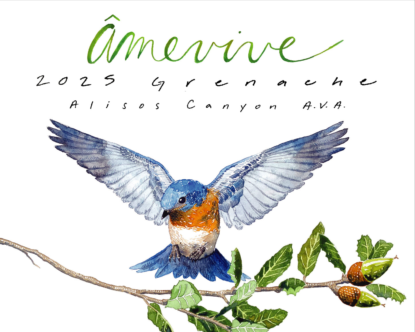 2025 Grenache - Alisos Canyon AVA