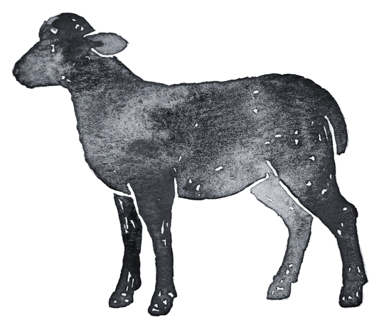 Whole Lamb Share - PRE-ORDER