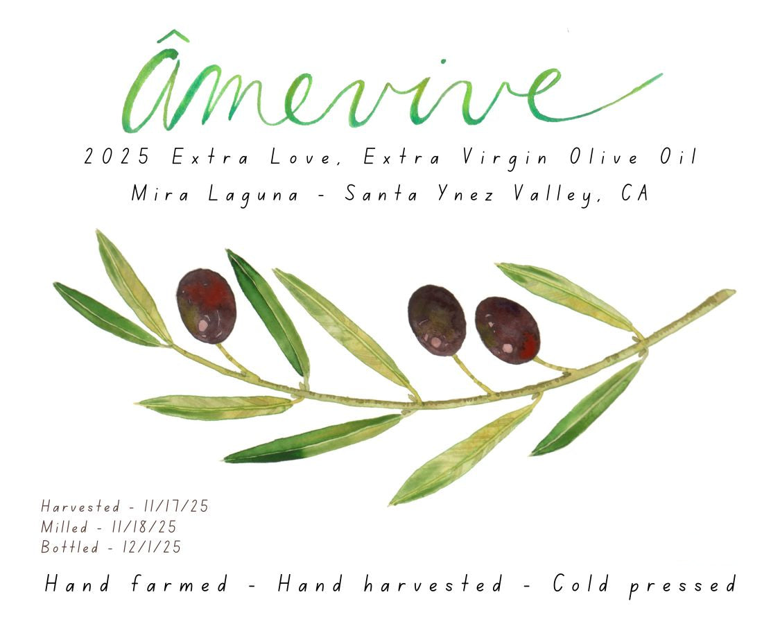 2025 Extra Love, Extra Virgin Olive Oil