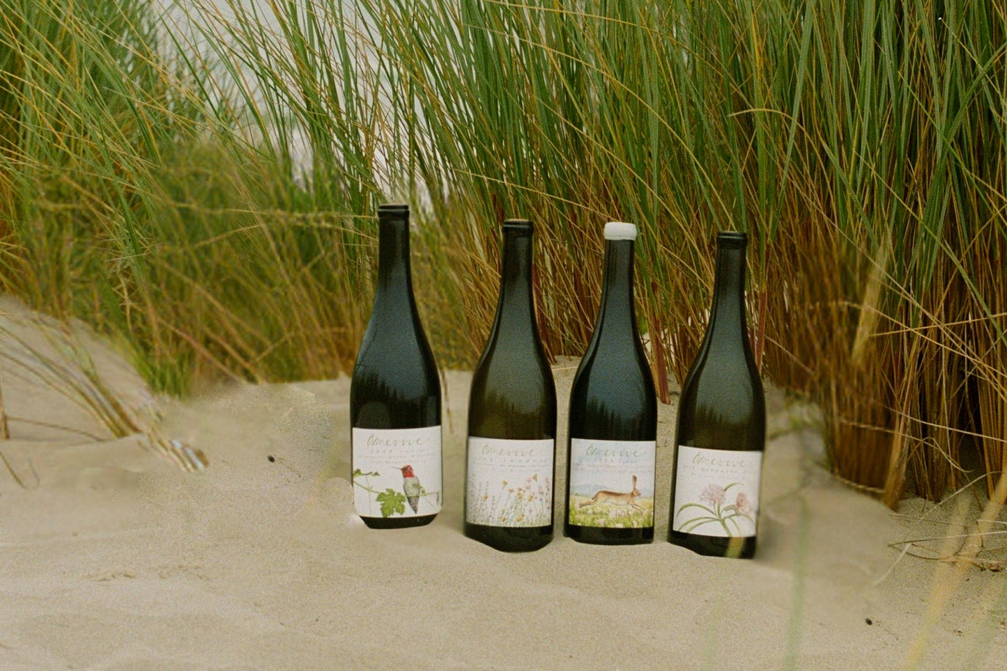Four amevive wine bottles on a sandy beach with grasses in the background